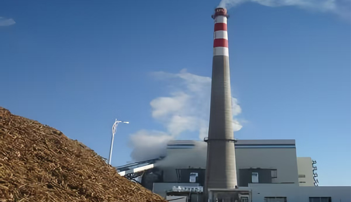 Wuhan Kaidi Power Biomass Power Generation Project
